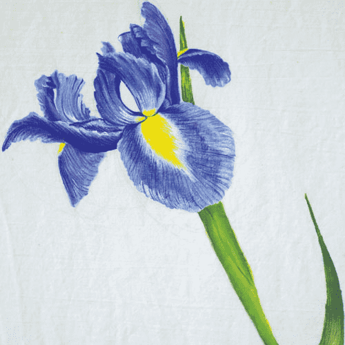 18%20Michelle Laubcher-Jäger